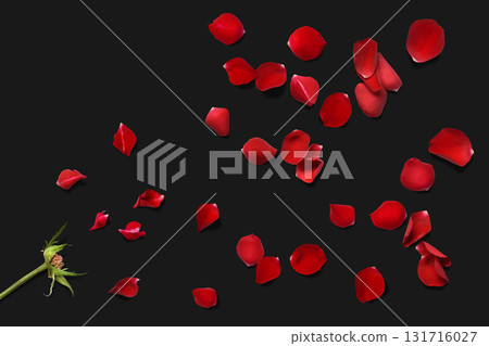A floral background with scattered red rose petals 131716027