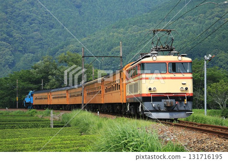 [Oigawa Railway] E31 series + old passenger cars (Oigawa Main Line: Nukuri to Ieyama) 131716195