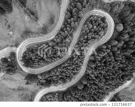 This aerial view showcases the captivating serpentine roads of the Alps, surrounded by lush forests. The curves create a scenic route perfect for a roadtrip adventure. 131716637