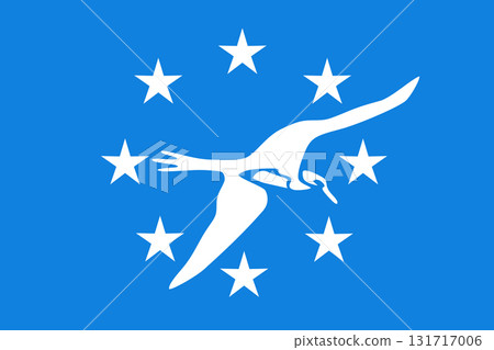 Flag of Corpus Christi, Texas 131717006