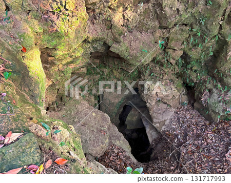 The Dragon's Cave on Mount Ryuto The Dragon's Cave on Mount Ryuto 131717993