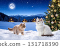 Cats on a Moonlit Night in White Christmas 131718390