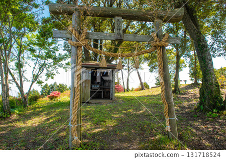 天草下島的最高峰豚 天草下島的最高峰豚 131718524