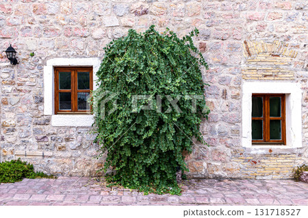 Old Stone Wall with Wooden Windows and Central Green Shrub 131718527