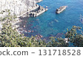 Cape, Kochi Prefecture 131718528