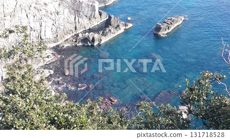 Cape, Kochi Prefecture Cape, Kochi Prefecture 131718528