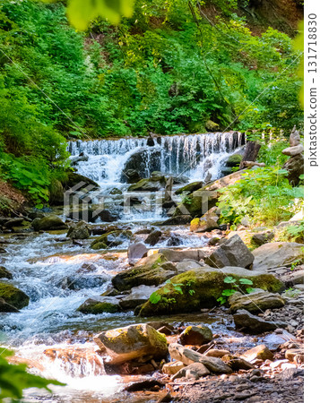 landscape with forest brook. creek in green environment in summer. water stream with stones and cascade flowing through lush mountain woodland of ukraine on a sunny day 131718830