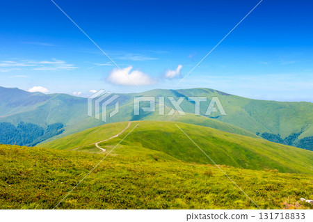 mountain meadow in summer. green alpine pasture on a sunny day. beautiful view of carpathian alps under blue sky. rolling scenery with hills and meadows. stunning countryside of ukraine mountain meadow in summer. green alpine pasture on a sunny day. beautiful view of carpathian alps under blue sky. rolling scenery with hills and meadows. stunning countryside of ukraine 131718833