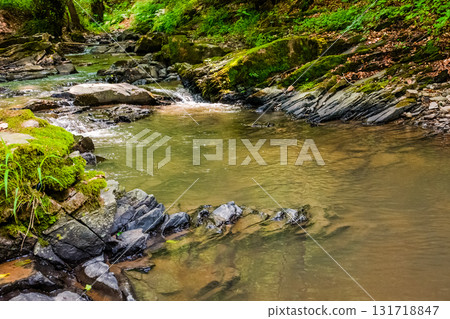 forest river in summer. water and rock in ravine. green stream flowing near lush trees through natural landscape of europe. scene in woodland of ukraine forest river in summer. water and rock in ravine. green stream flowing near lush trees through natural landscape of europe. scene in woodland of ukraine 131718847
