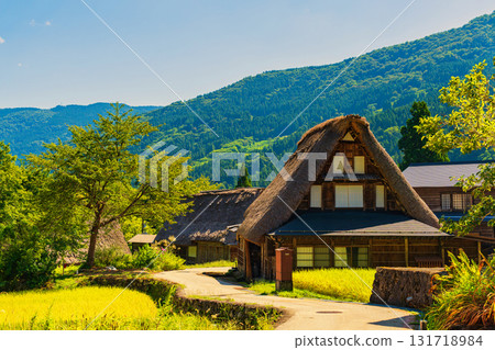 合掌村落的秋天[富山縣五箎山] 131718984