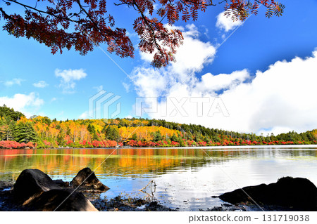 Shirakomi Pond in Autumn (Sakuho Town, Koumi Town, Nagano Prefecture) [October 2025] 131719038
