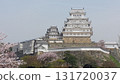 Cherry blossom season: Himeji Castle, white after major repairs in 2016 131720037