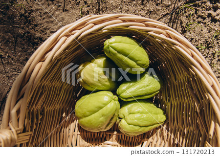 Fresh green chayote fruits in a wicker basket on wooden background. Organic vegetable harvest from garden. Healthy plant-based food and sustainable farming. 131720213