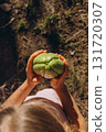 Child holding fresh chayote fruit in hands. Close up of green chayote, also known as vegetable pear or mirliton, grown in garden. Concept of exotic fruit and organic farming. 131720307