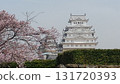 Himeji Castle, white with cherry blossoms after major repairs in 2016 131720393