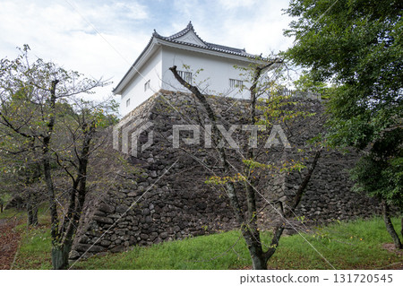 Ise Kameyama Castle - The remaining Honmaru Tamon Tower and stone walls Ise Kameyama Castle - The remaining Honmaru Tamon Tower and stone walls 131720545