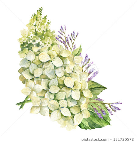 watercolor hydrangea branches with flowers, leaves and twigs, garden flowers in vintage style, pastel green colors blossom flowers heard, bud for greeting card, anniversary, wedding decoration 131720578