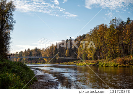 pedestrian bridge over the river Gauja near the devil cliff on a autumn day, Krimulda, Latvia 131720878
