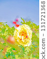 The flowers around the house, various in all seasons, and the trees in the peony garden are bathed in the soft spring light, their beautiful yellow flowers shining. 131721368
