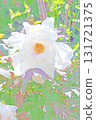 The flowers around the house, various in all seasons, and the trees in the peony garden are shining beautifully white in the soft spring light. 131721375