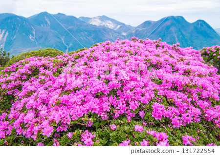 Miyamakirishima on the summit of Mount Kita-Ofune 131722554