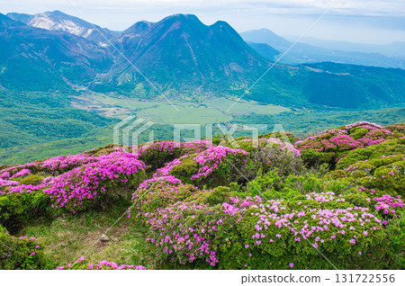 Miyamakirishima on the summit of Mount Kita-Ofune 131722556