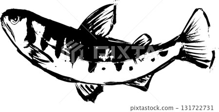 山女鱒魚墨繪 - 日式山女鱒魚插畫素材 山女鱒魚墨繪 - 日式山女鱒魚插畫素材 131722731