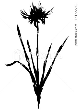 Silhouette illustration of red spider lily | Red spider lily | Autumn flower vector material 131722789