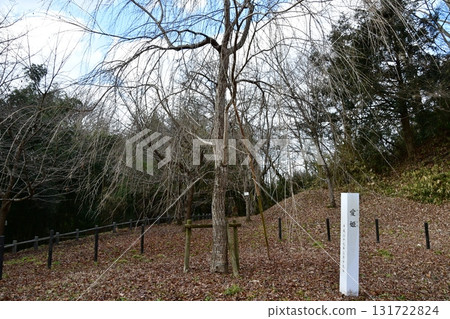 一關城014 主城,愛子公主 一關城014 主城,愛子公主 131722824