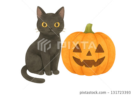 萬聖節南瓜和黑貓向量插圖 131723393