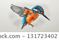 Color sketch of a kingfisher bird on a white background 131723402