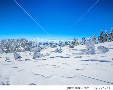 A beautiful snowy mountain with wind-snow patterns and a forest of frost-covered trees, with Mount Asama in the distance (Nagano Prefecture, Shiga Kogen, Mount Yokote) A beautiful snowy mountain with wind-snow patterns and a forest of frost-covered trees, with Mount Asama in the distance (Nagano Prefecture, Shiga Kogen, Mount Yokote) 131723751