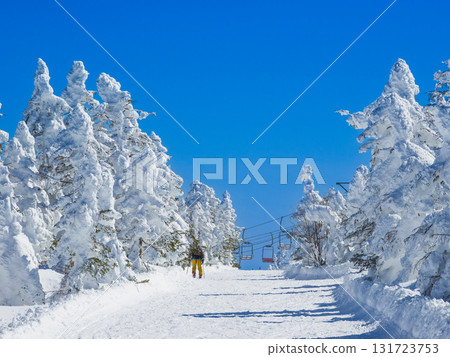 滑雪者在湛藍的天空下穿過覆霜的樹木和雪山的走廊（群馬縣澀山口） 131723753