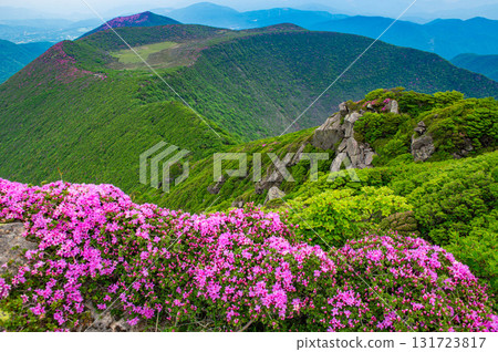 Miyamakirishima seen from the summit of Mt. Ofuna 131723817