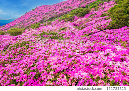 Heiji-dake的Miyama Kirishima Heiji-dake的Miyama Kirishima 131723823