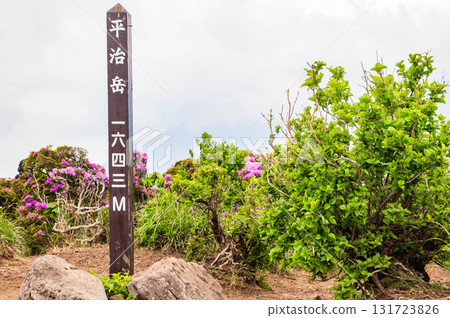 The summit of Mount Heiji 131723826