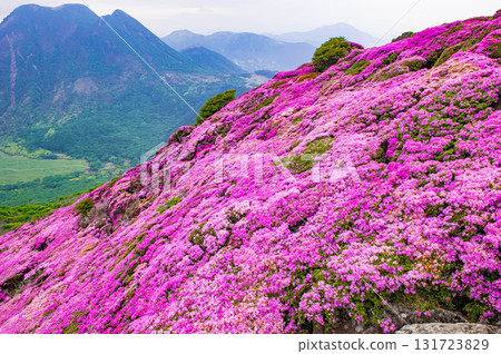 Heiji-dake的Miyama Kirishima 131723829