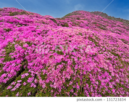Miyama Kirishima of Heiji-dake 131723834