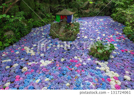 Nanzoin Temple's Hydrangea Pond 131724061
