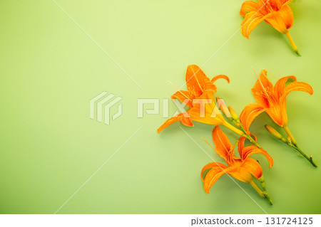 Bright orange lilies on green background from above Bright orange lilies on green background from above 131724125