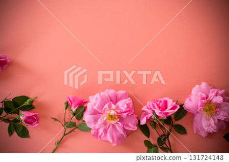 Flower arrangement with roses for background and text Flower arrangement with roses for background and text 131724148