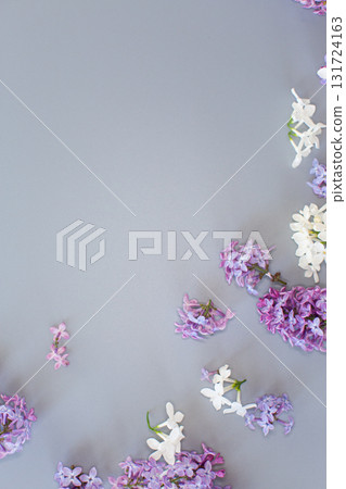 Spring lilac flowers on gray texture with empty space 131724163