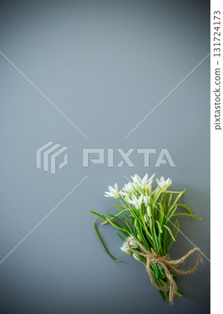 Spring primroses on a pastel surface Spring primroses on a pastel surface 131724173