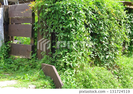Sunlight filtering through the trees in a summer garden. A relaxing space for the afternoon. 131724519