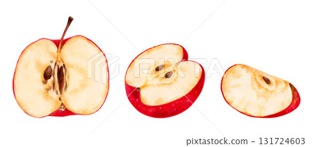 Fruit set of red apple parts. Healthy eating. Botanical watercolor illustration. Hand drawn isolated art. Clip art for food packaging design, menus and juices. Harvesting, production. 131724603