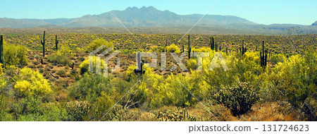 Salt River Recreation Area Arizona 131724623