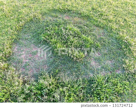 形狀奇怪的割草 131724712