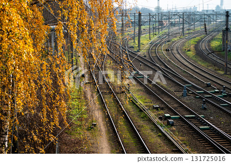 railway tracks and switches for train traffic near the railway station, perspective view railway tracks and switches for train traffic near the railway station, perspective view 131725016