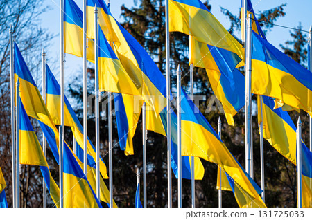 several national flags of Ukraine flutters in the wind several national flags of Ukraine flutters in the wind 131725033
