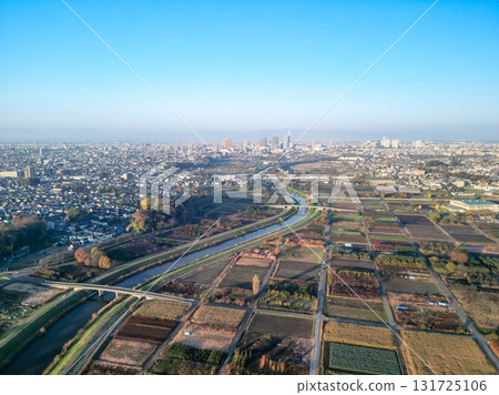 清晨從空中俯瞰埼玉縣見沼稻田的秋日風景 清晨從空中俯瞰埼玉縣見沼稻田的秋日風景 131725106